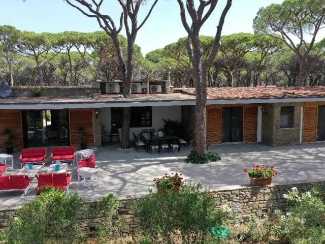 Villa in affitto a Castiglione della Pescaia GR