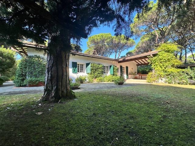 Villa in affitto a Castiglione della Pescaia GR