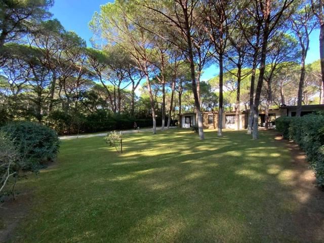Villa in affitto a Castiglione della Pescaia GR