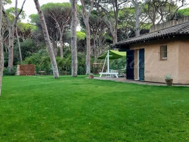Villa in affitto a Castiglione della Pescaia GR