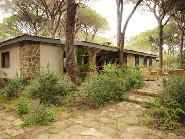 Villa in affitto a Castiglione della Pescaia GR