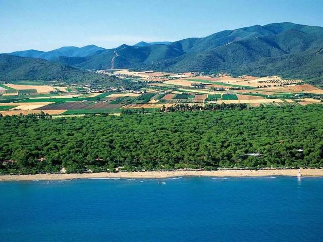 Villa in affitto a Castiglione della Pescaia GR