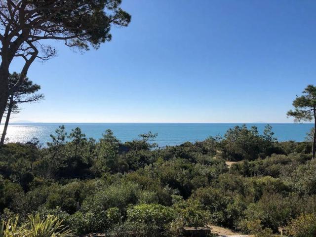 Villa in affitto a Castiglione della Pescaia GR