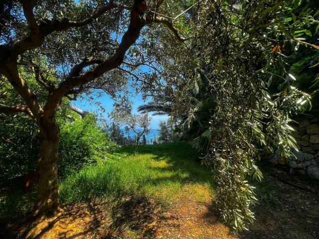 Villa in affitto a Cefalù, case in affitto Cefalù