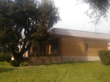 Lavinio Lido di Enea, Latina Lazio