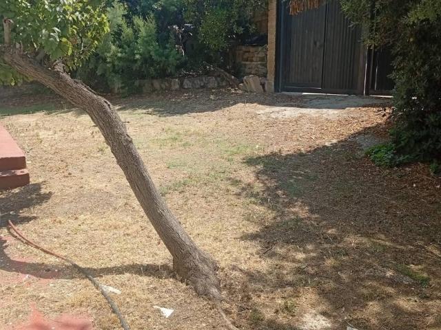 Villa in affitto a Anzio RM