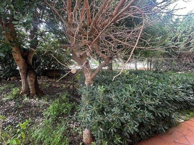 Villa in affitto a Altavilla Milicia PA