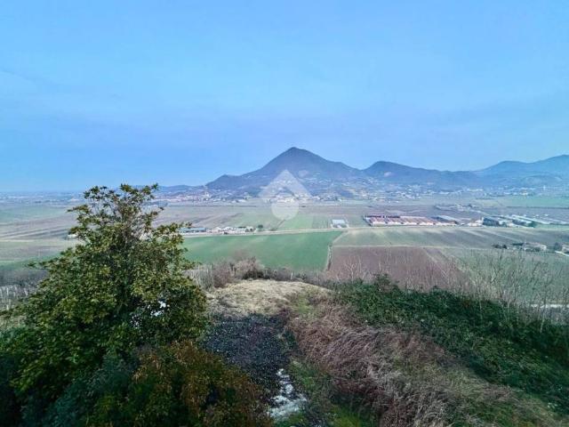 Villa in affitto a Albettone VI