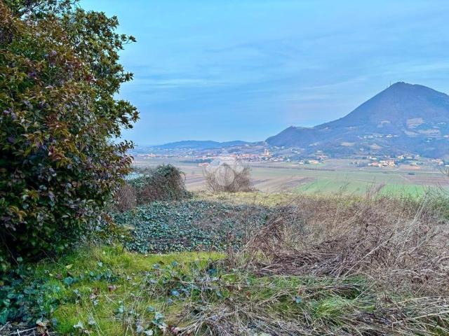 Villa in affitto a Albettone VI