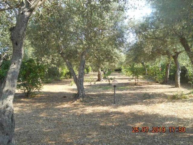 Villa in affitto a Alghero SS