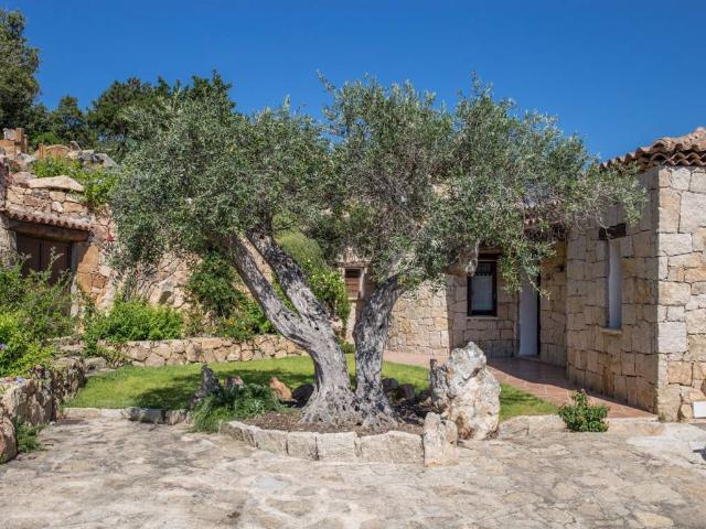 Villa in affitto a Arzachena OT