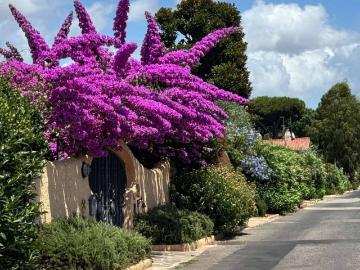 Colle Romito, Latina Lazio