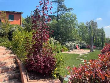 Villa in affitto a Bologna BO