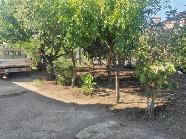 Villa in affitto a Bracciano RM