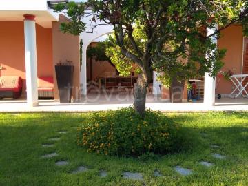 Villa in affitto a Brindisi via di Torre Testa, arredato, giardino privato, terrazzo TrovaCasa
