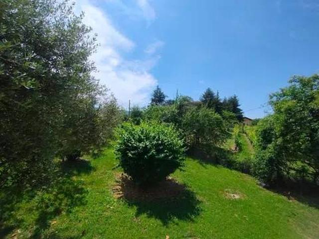 Villa in affitto a Golferenzo PV
