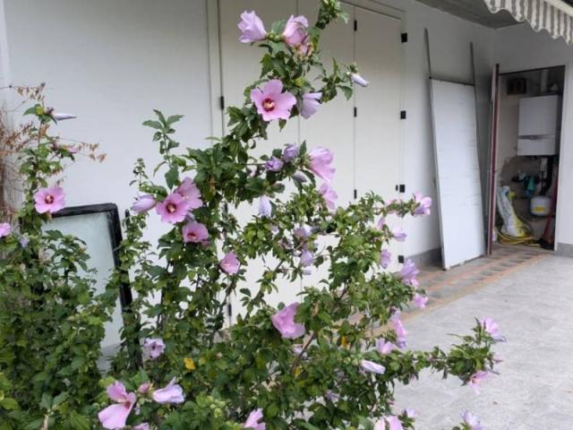 Villa in affitto a Gorle BG
