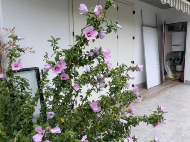 Villa in affitto a Gorle, giardino privato, posto auto, terrazzo TrovaCasa