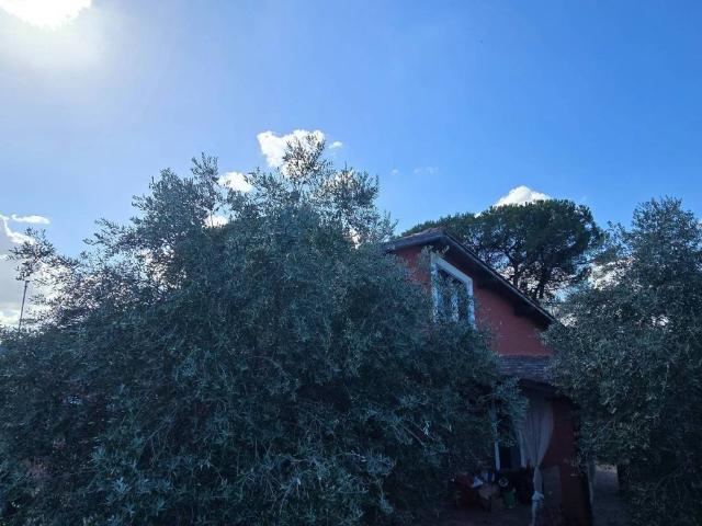 Villa in affitto a Genzano di Roma RM