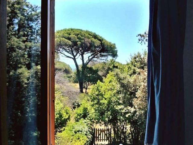 Villa in affitto a Grosseto