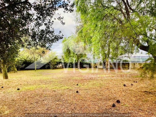 Villa in affitto a Foggia FG