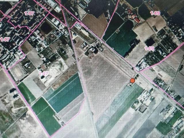 Villa in affitto a Foggia FG