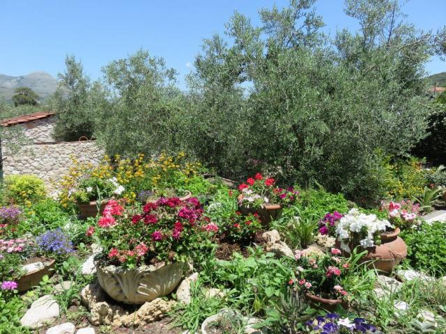 Villa in affitto a Formia LT