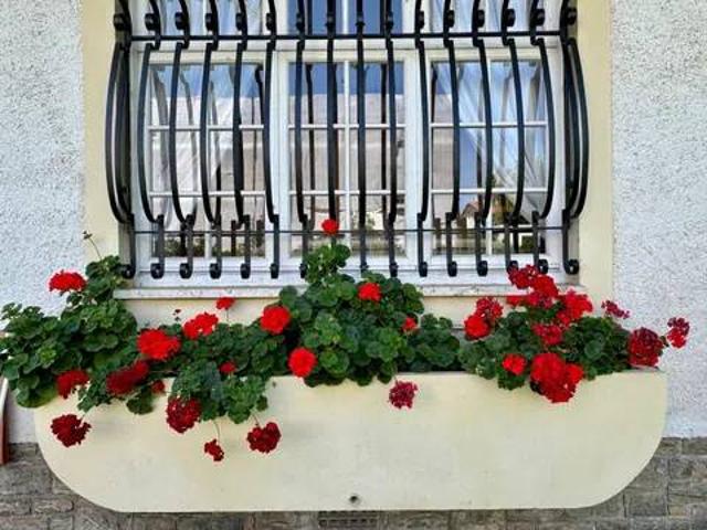 Villa in affitto a Forte dei Marmi LU
