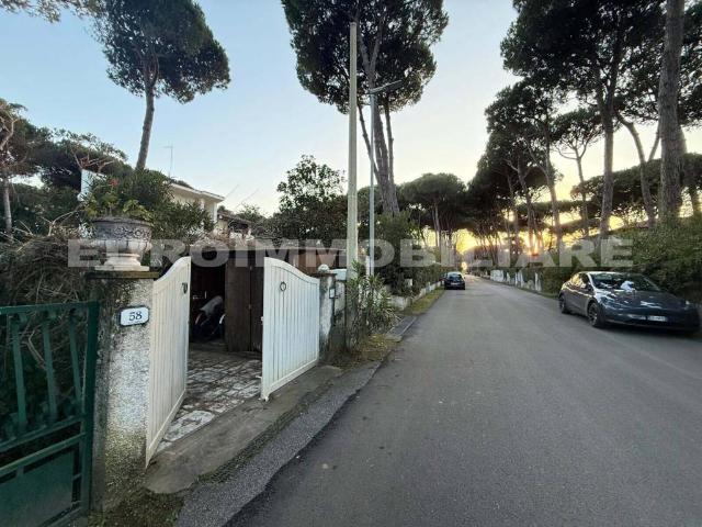 Villa in affitto a Forte dei Marmi LU