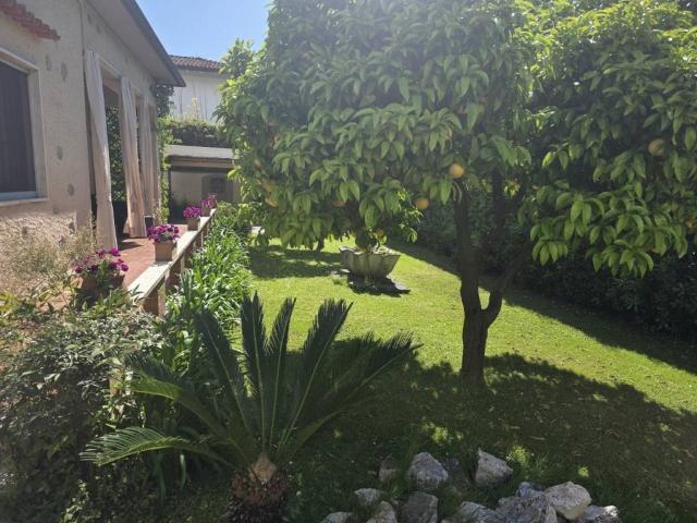 Villa in affitto a Forte dei Marmi LU