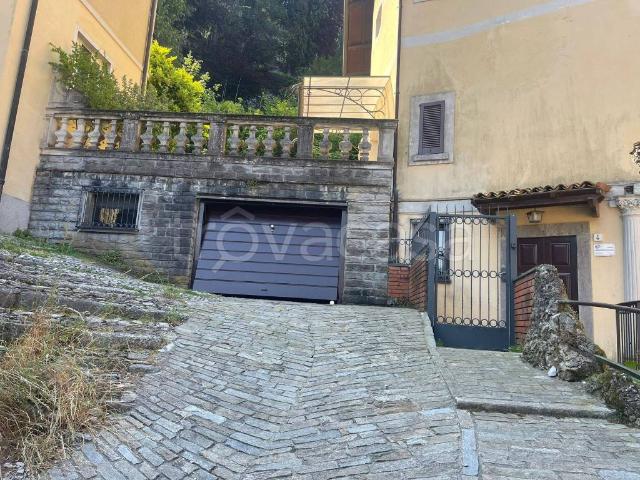 Villa in affitto a Faggeto Lario via per Palanzo, 4, non arredato/vuoto, giardino privato, box TrovaCasa