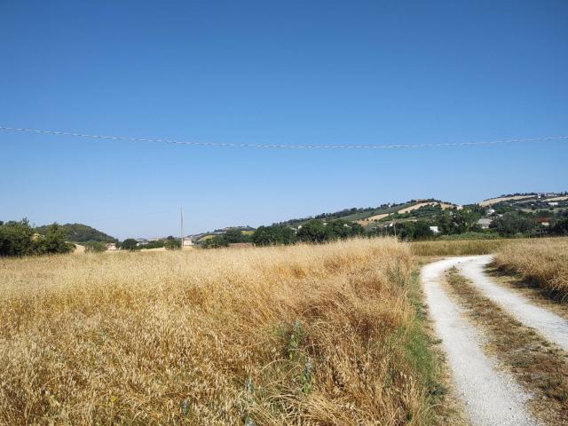 Villa in affitto a Fermo