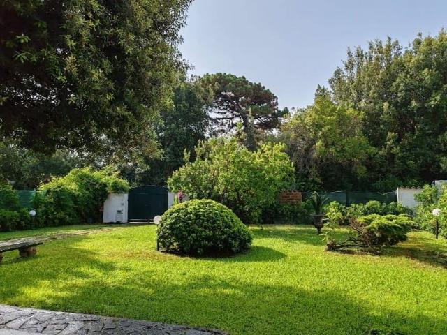 Villa in affitto a Fiumicino RM
