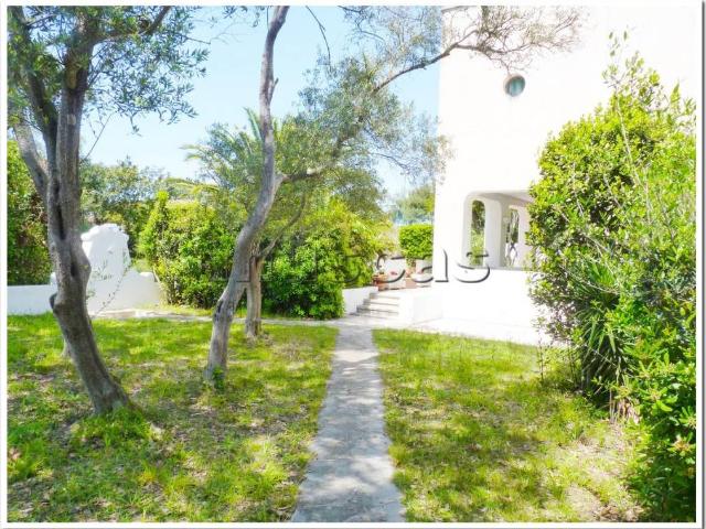 Villa in affitto a Fiumicino RM