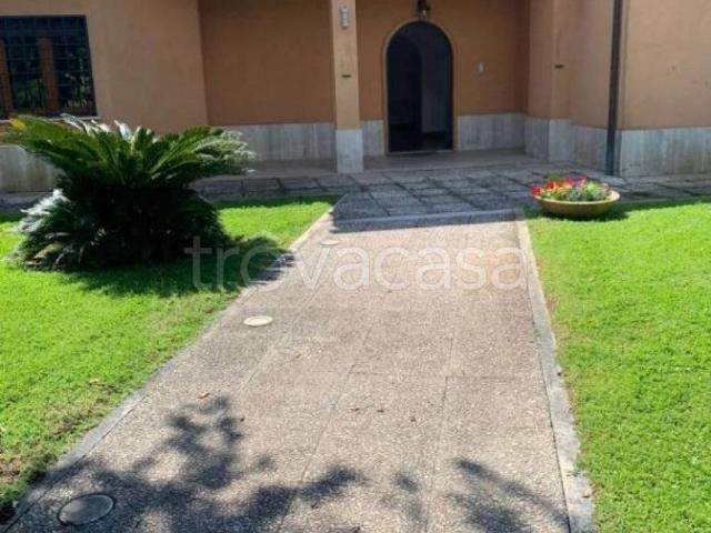 Villa in affitto a Fiumicino via La Plaia, arredato, giardino privato, terrazzo TrovaCasa