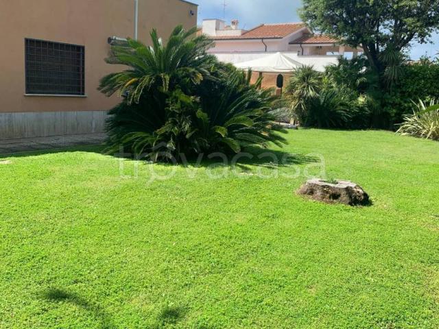 Villa in affitto a Fiumicino via La Plaia, arredato, giardino privato, terrazzo TrovaCasa