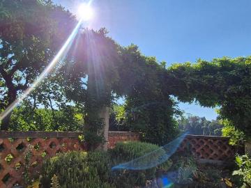 Villa in affitto a Firenze FI