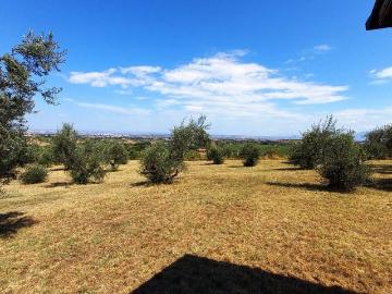 Villa in affitto a Frascati RM