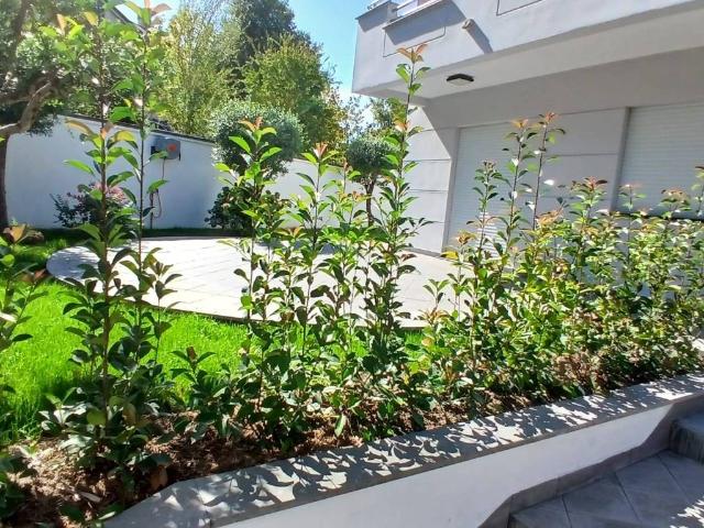 Villa in affitto a Frosinone FR