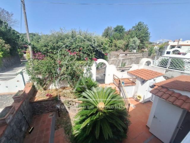 Villa in affitto a Ischia via san montano 94, arredato, giardino privato, terrazzo TrovaCasa