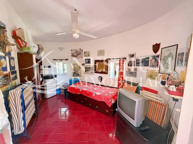 Villa in affitto a Isola del Giglio GR