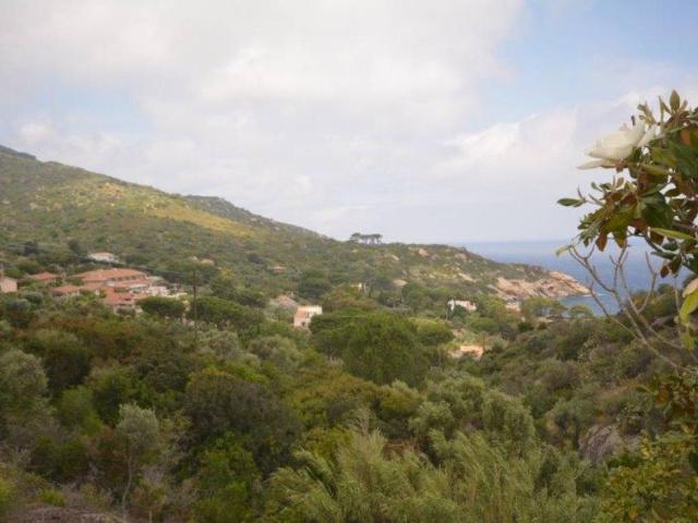 Villa in affitto a Isola del Giglio GR