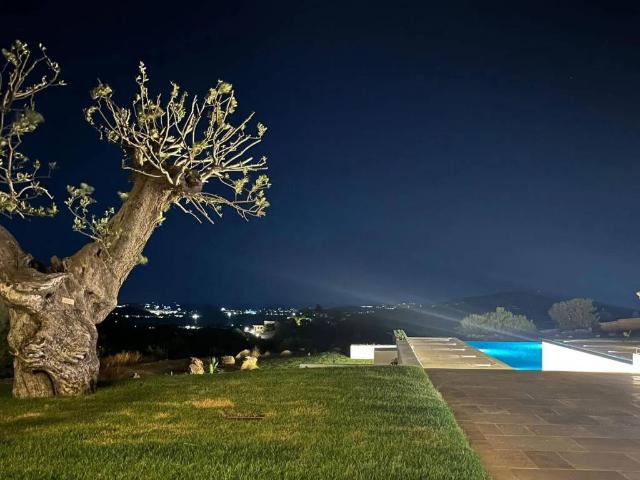 Villa in affitto a Olbia OT