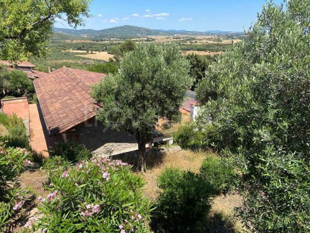 Villa in affitto a Orbetello, arredato, giardino privato, terrazzo TrovaCasa