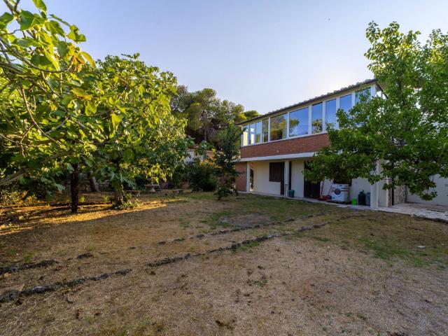 Villa in affitto a Orbetello, Giannella