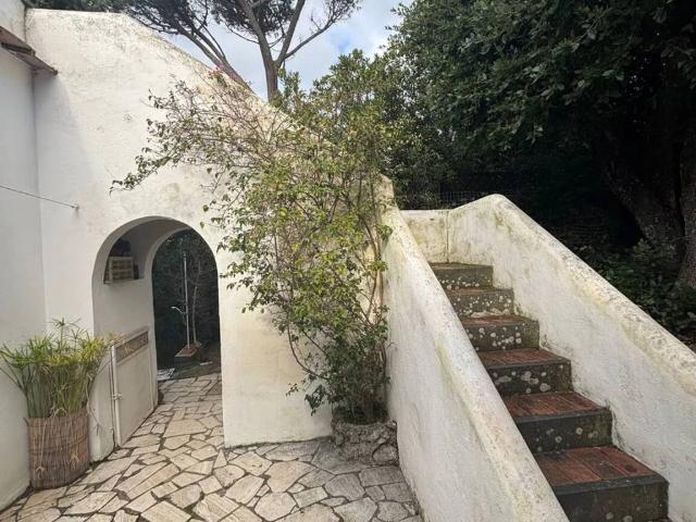 Villa in affitto a Orbetello GR