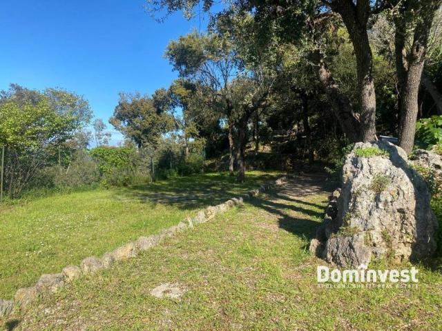 Villa in affitto a Orbetello GR