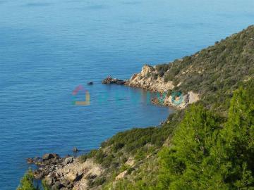 Villa in affitto a Orbetello via Cala di Forno, arredato, giardino, posto auto TrovaCasa