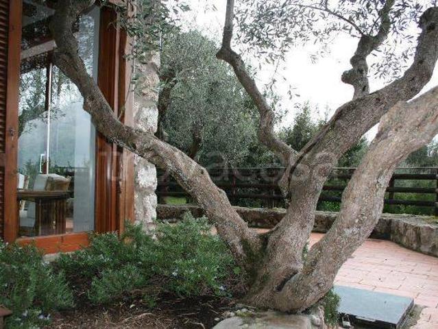 Villa in affitto a Orbetello via del Fiordaliso, arredato, giardino privato, posto auto TrovaCasa
