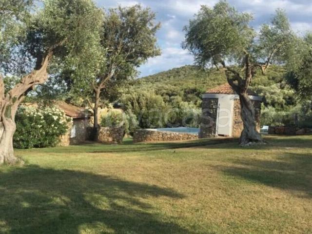 Villa in affitto a Orbetello via delle Rose, arredato, giardino privato, posto auto TrovaCasa